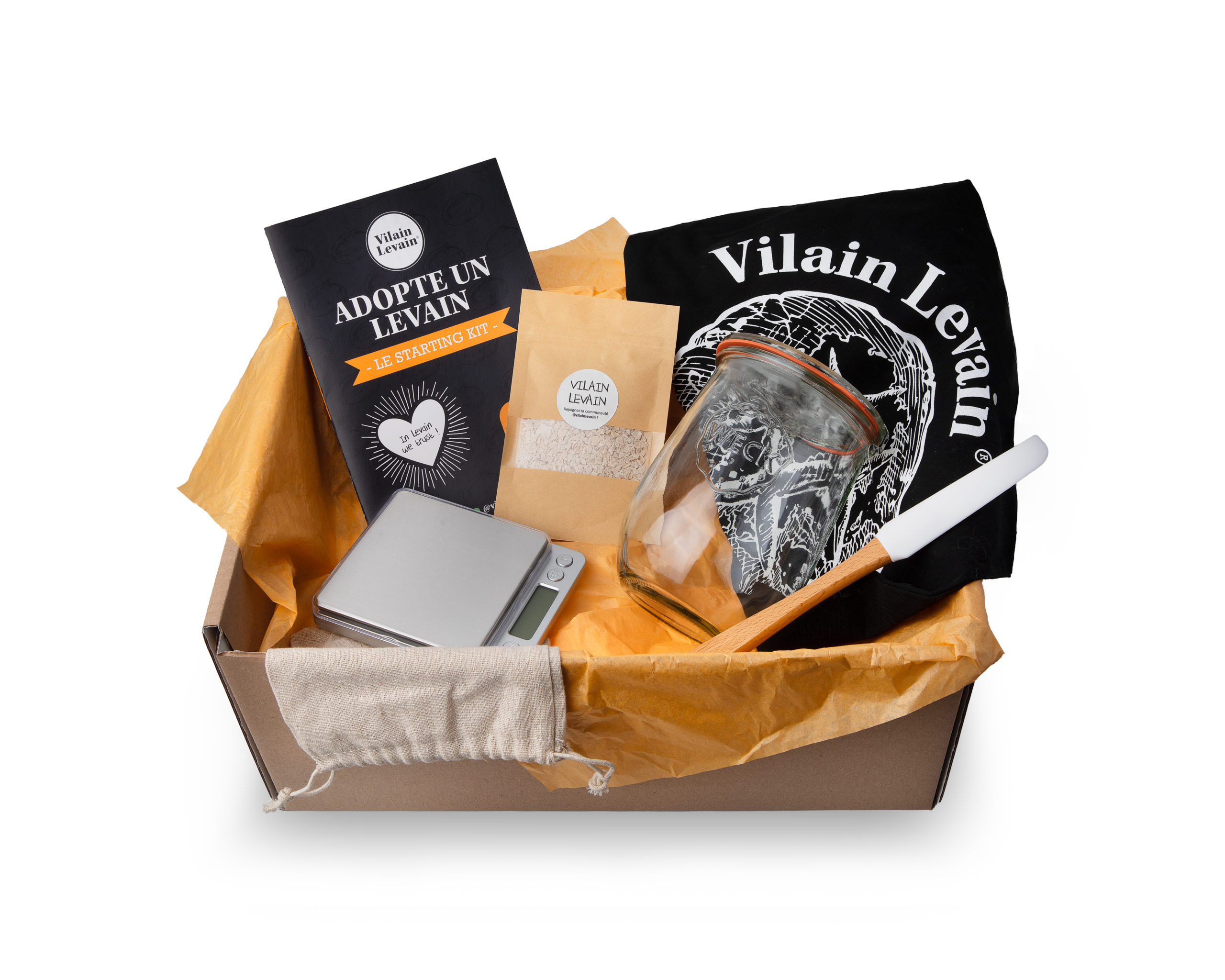 Vilain Levain box kit de démarrage levain