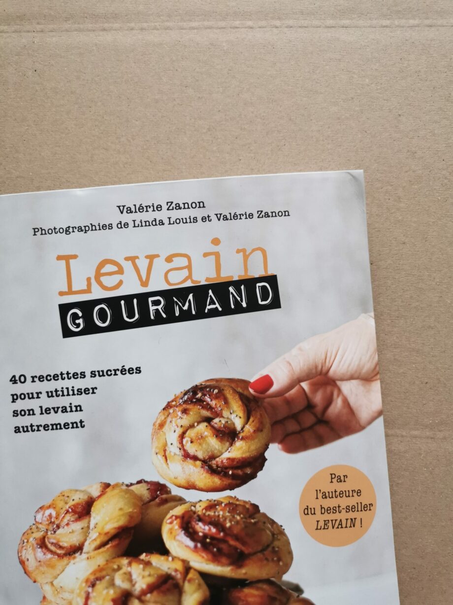 livre levain occasion